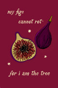 fig print