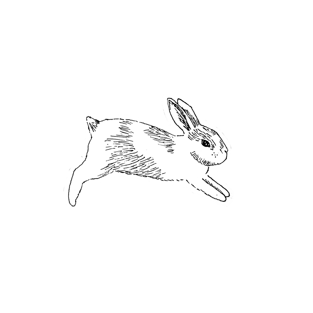 bun bun sticker