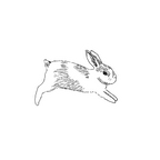 bun bun sticker