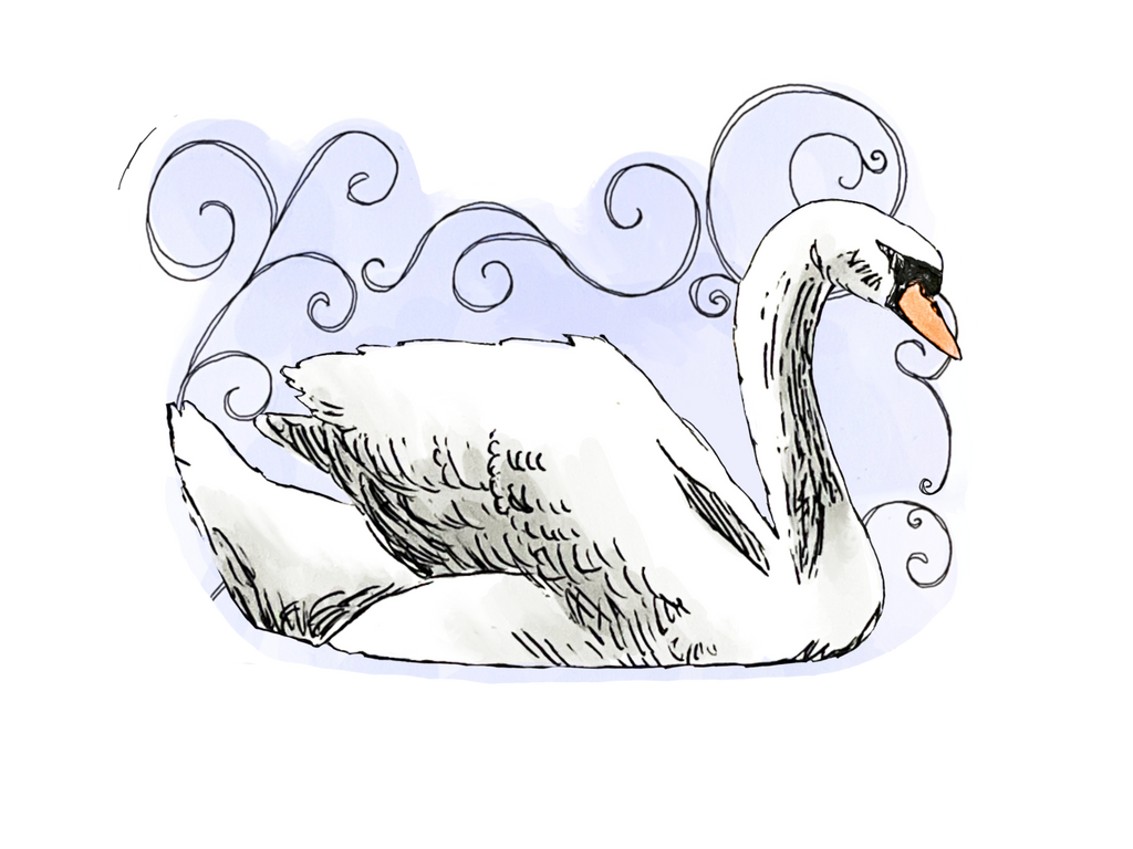 swan sticker